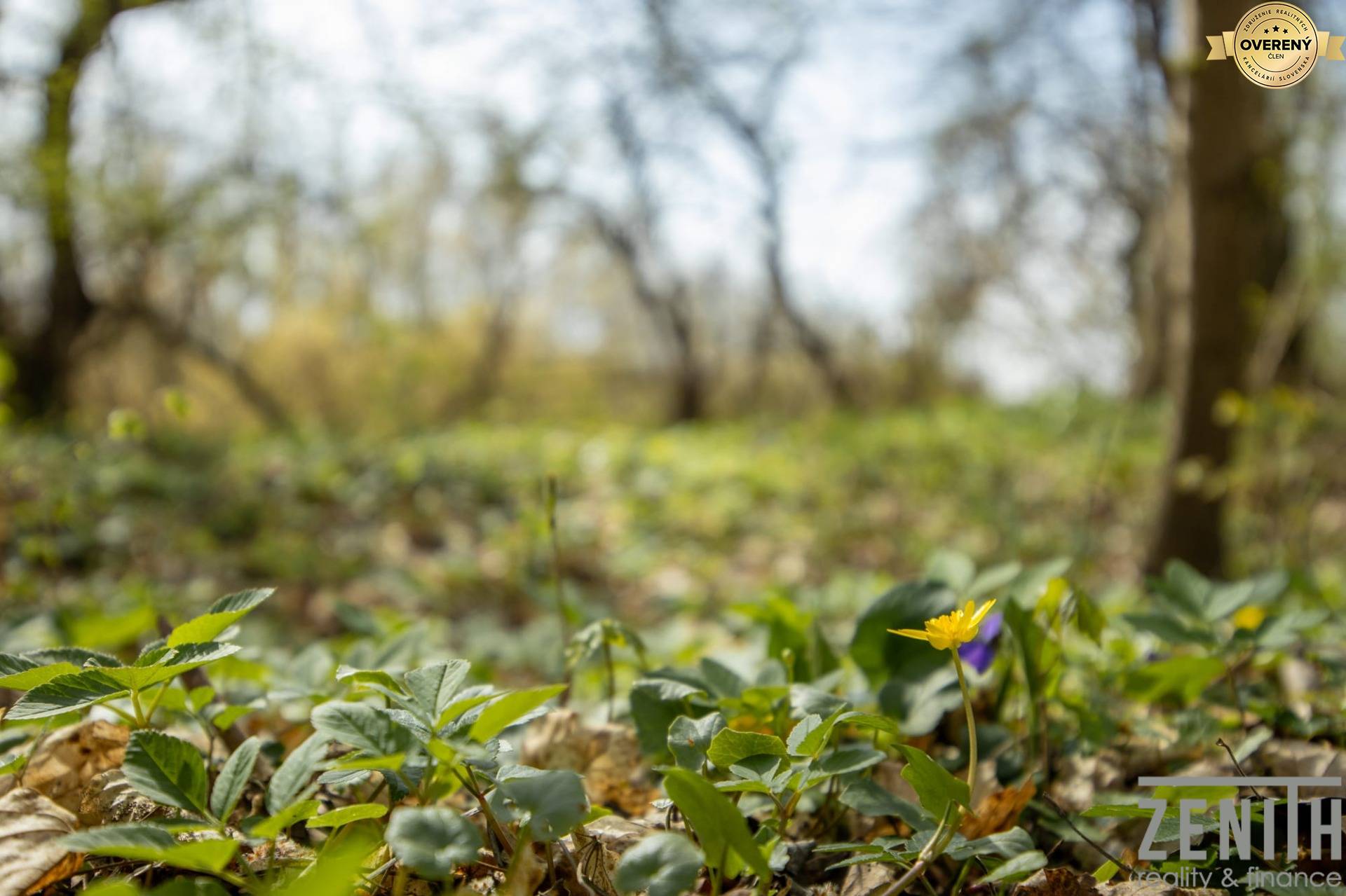 Kaufen landwirtsch. Grundstücke, landwirtsch. Grundstücke, Galanta, Sl