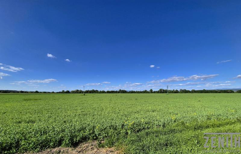 Kaufen landwirtsch. Grundstücke, landwirtsch. Grundstücke, Topoľčany, 